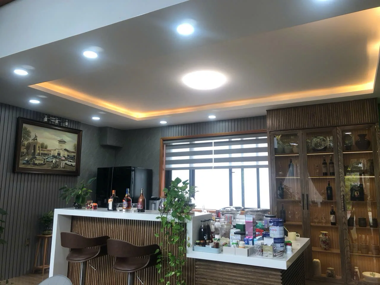 Biệt Thự Đơn Lập 14x23 Nở Hậu - View Công Viên - 3